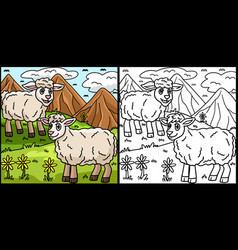 Sheep Coloring Page Colored