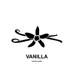 Vanilla Pod Icon Orchid Bean Sticks Dry Vanillin