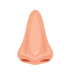 Human Nose Nasal Icon Design