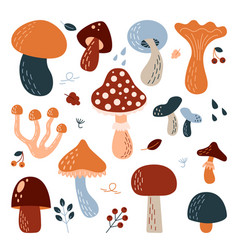 Set Of Different Types Mushrooms