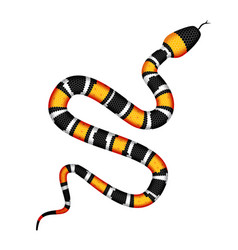 3d Of Coral Snake Or Micrurus