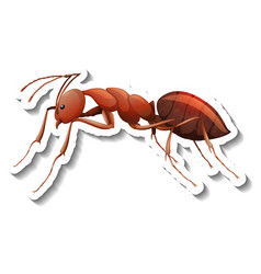 A Sticker Template With Close Up Red Ant