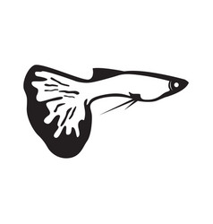 Betta Fish Icon Logo