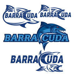 Modern Barracuda Logo