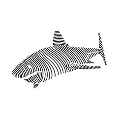 Simple Line Art Of A Shark 1