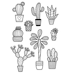 Doodle Cactus Coloring Book Page Anti