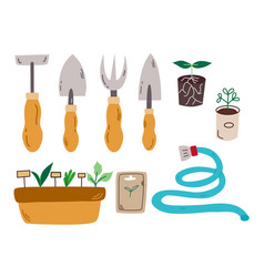 Collection Of Garden Tools And Plants Gardening