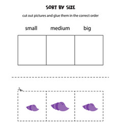 Sort Purple Seashell By Size Educational