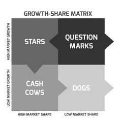 Bcg Matrix