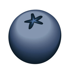 Blueberry Fruit Icon