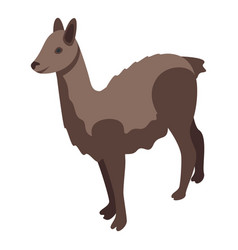 Brown Lama Icon Isometric Cool Baby