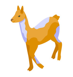 Wild Lama Icon Isometric Cool Baby