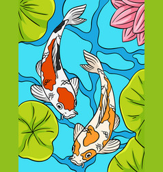 Koi Fish Colored Cartoon