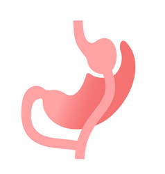 Gastric Bypass Surgery