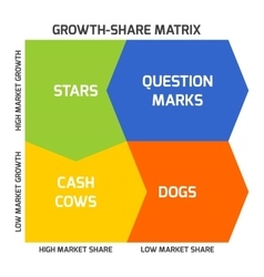 Bcg Matrix