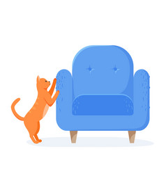 Ginger Cat Scratching Chair Nasty Kitten