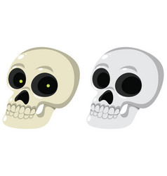 Set Of Human Skull On White Background