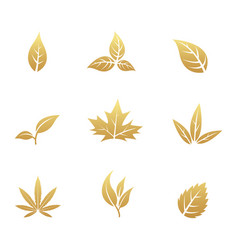 Golden Leaf Icons On A White Background