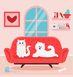 Cute White Cat And Spitz Dog On The Sofa