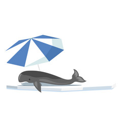 Whale Lies On An Ice Floe Under Beach Umbrella