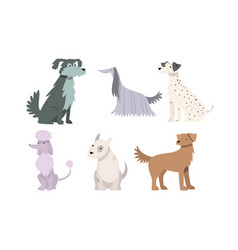 Set Cute Big And Small Dogs Breeds