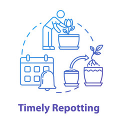 Timely Repotting Concept Icon Houseplants Concern