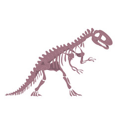 Dinosaur Skeleton Isolated On A White Background