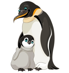 Emperor Penguin With Chick