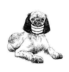 English Setter Dog With Mask