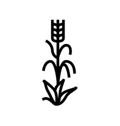 Yellow Barley Plant Line Icon