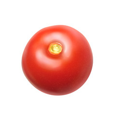 Realistic Tomato