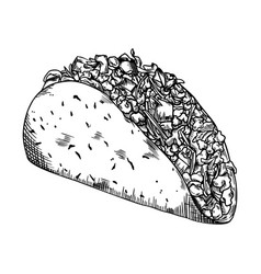 Taco Hand Drawn Skecth Mexican Food