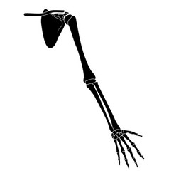 Skeleton Human Arm With Shoulder Girdle Silhouette