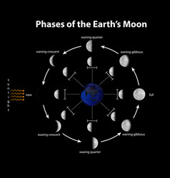 Diagram Showing Phases Earth Moon