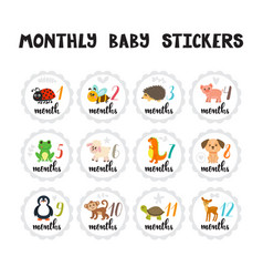 Monthly Baby Stickers For Little Girls And Boys