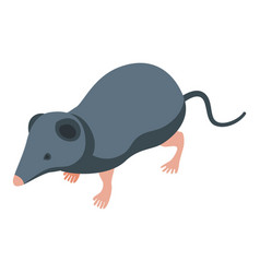 Shrew Icon Isometric African Animal