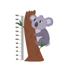 Kids Wall Centimeter Sticker With Cute Koala