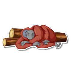 Sad Orangutan Laying Down Cartoon Sticker