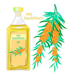 Sea Buckthorn Oil Bottle