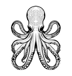 Octopus Stencil