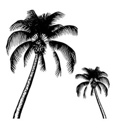 Hand Drawn A Palm