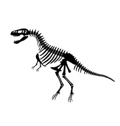 Dinosaur Skeleton Black