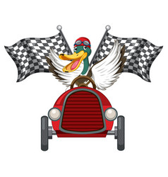 Soapbox Derby With Duck Driving Car