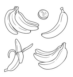 Banana Line Art