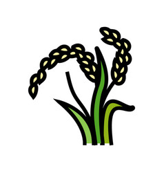 Oryza Plant Food Color Icon