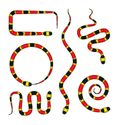 3d Of Coral Snake Or Micrurus