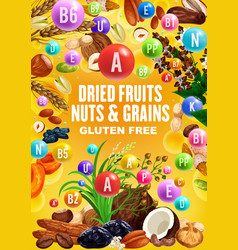 Dried Fruits Nuts Cereal Grains Beans Vitamins