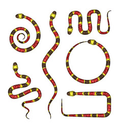 3d Of Coral Snake Or Micrurus