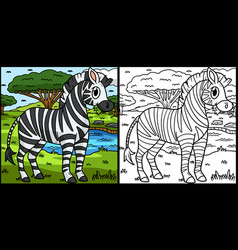 Zebra Coloring Page Colored