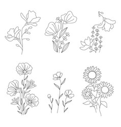 Line Art Flowers Composition Set Floral Motifs